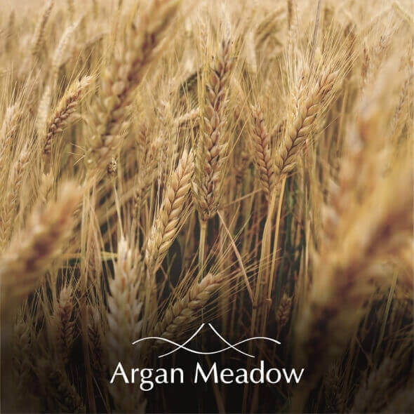 Argan Meadow